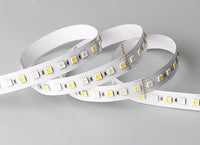LED Flexible Strip RGB Mixes-Light RGB+CCT 2in1 15W/M 850lm/M 5Years Warranty Price for 5M/Roll